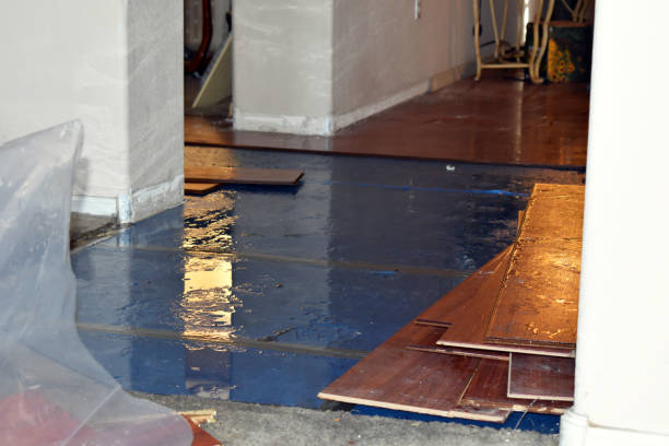 Professional Storm Water Damage Restoration technician working in Timber, OR